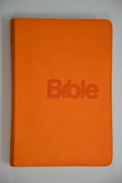 Bible21 - imitace kůže oranžová