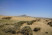 V Mongolsku se vědci snaží zastavit postup písečné duny