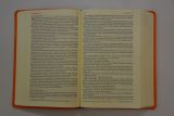 bible21-imitace-kuze-oranzova-0001