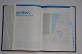 bible-slovo-na-cestu-s-poznamkami-kuze-se-stribrnou-orizkou-0027